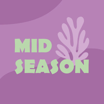 Mid Season