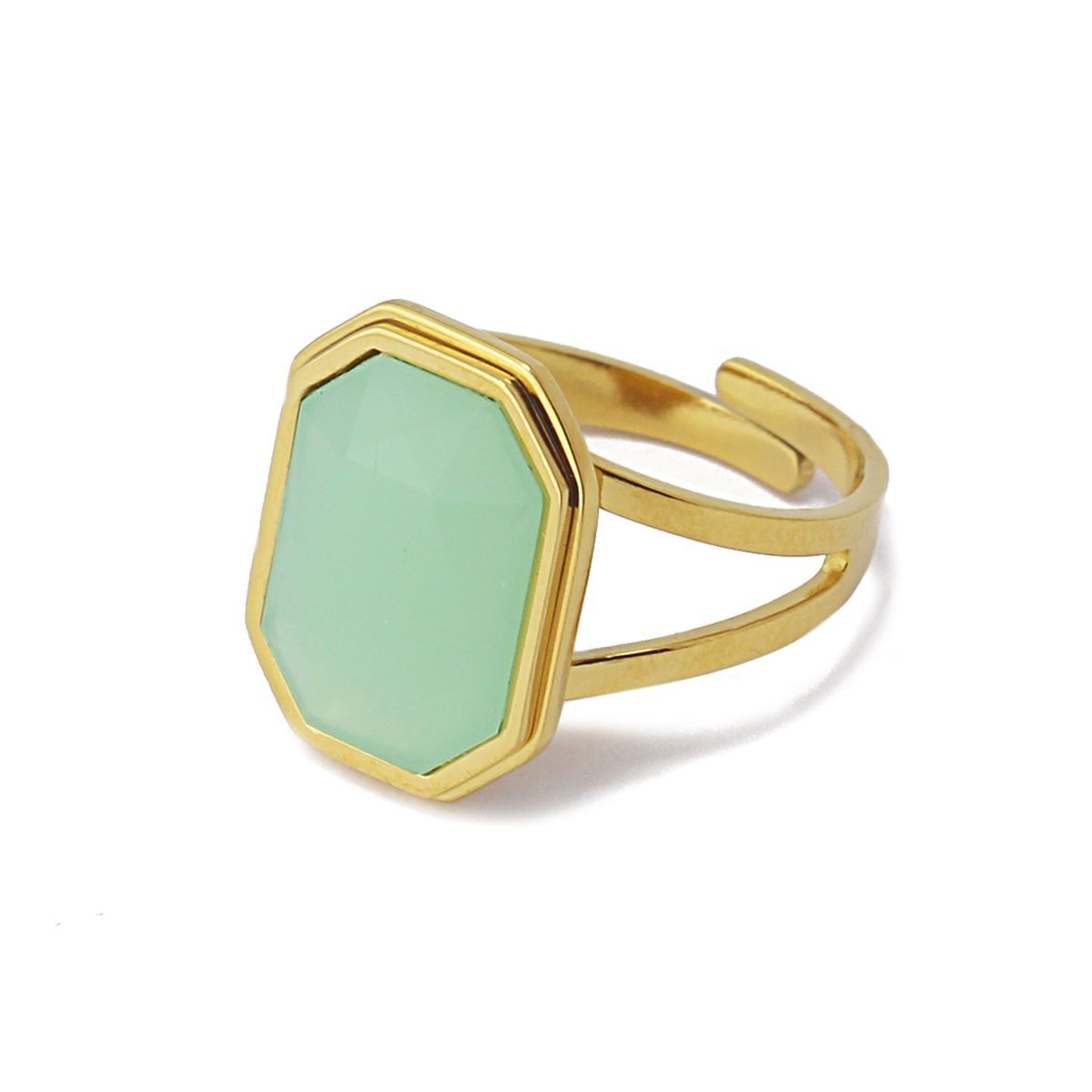 Anillo Helecho