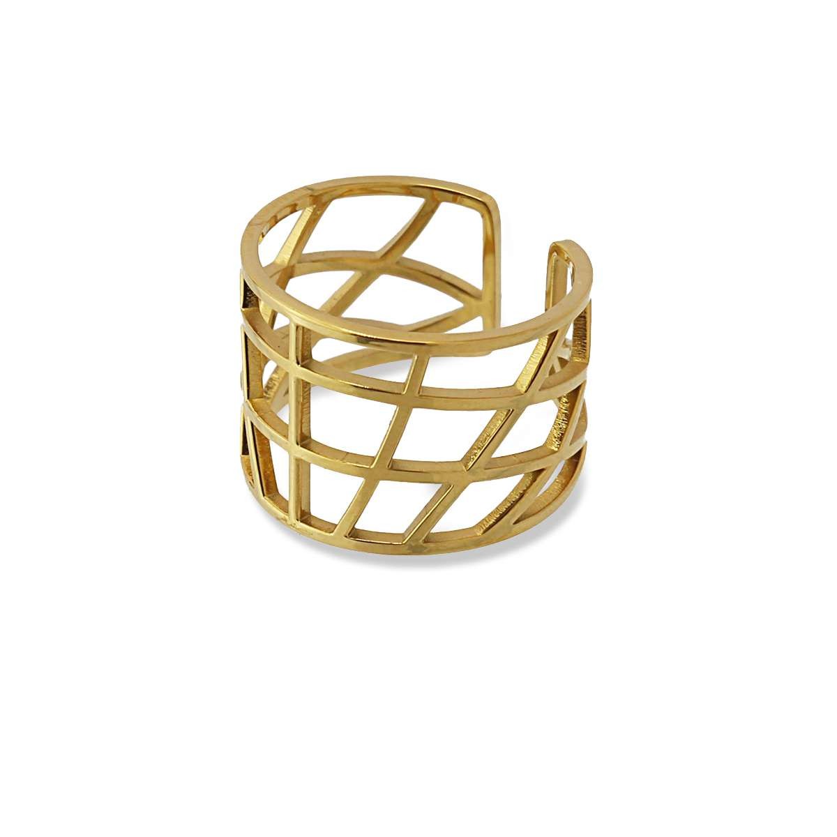 Anillo Riga