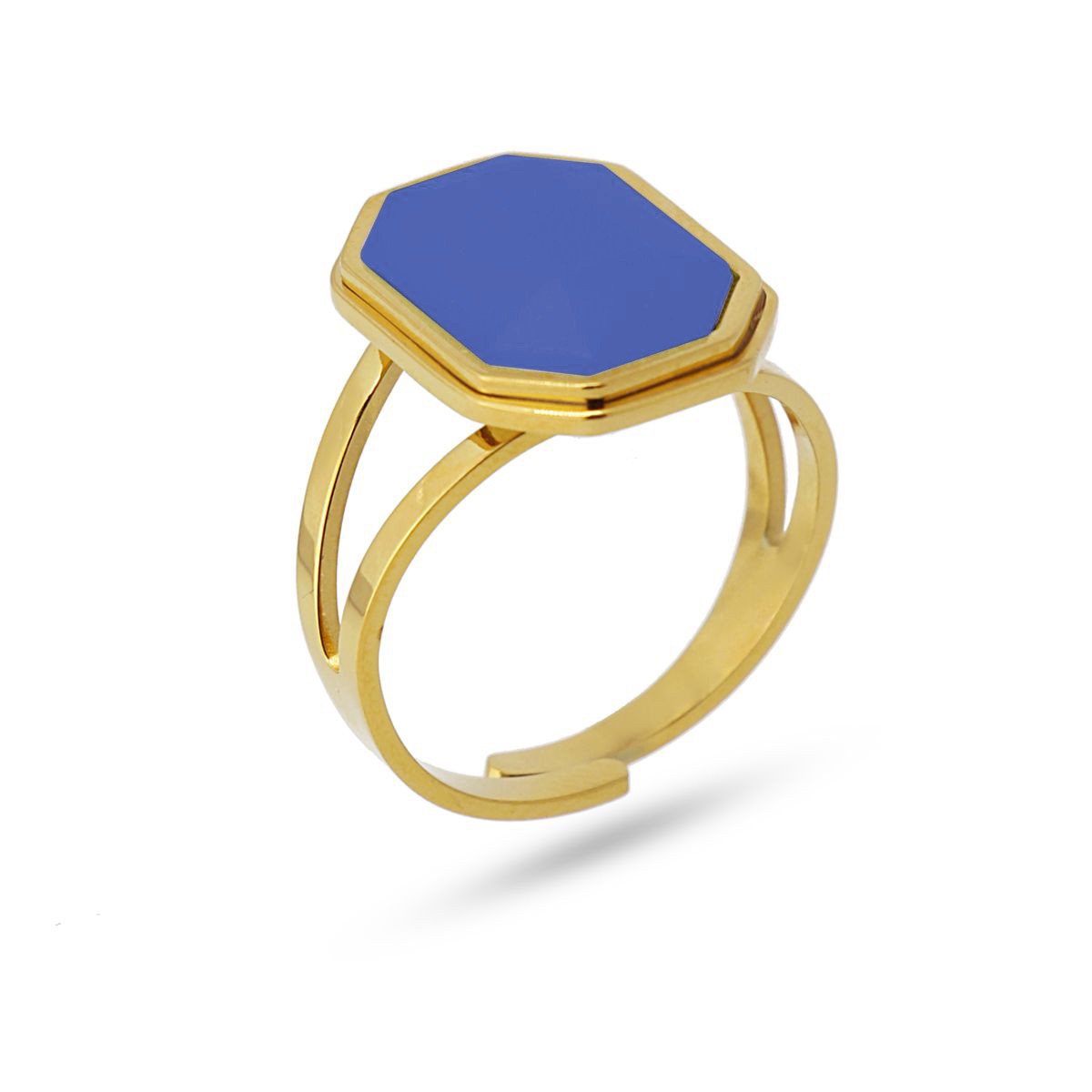 Anillo Helecho
