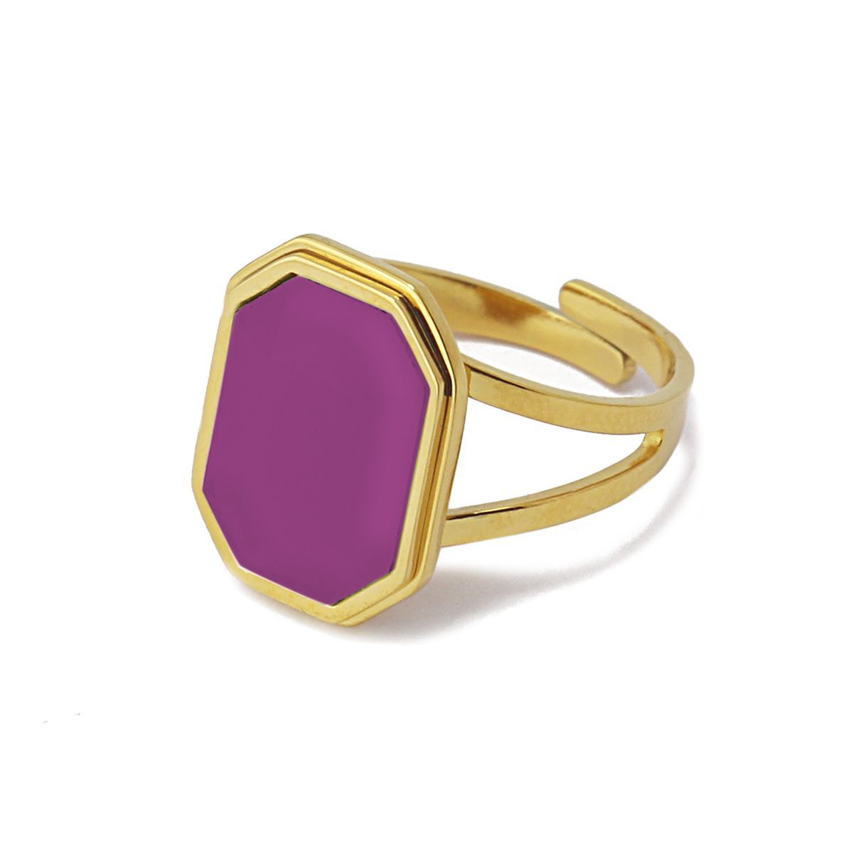 Anillo Helecho