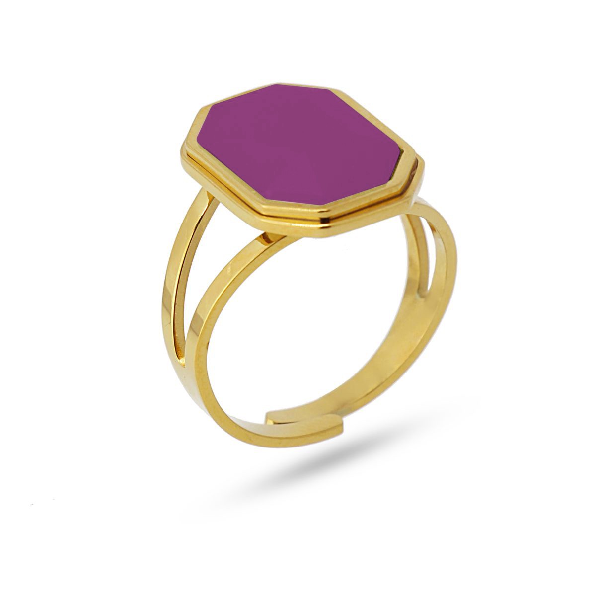 Anillo Helecho