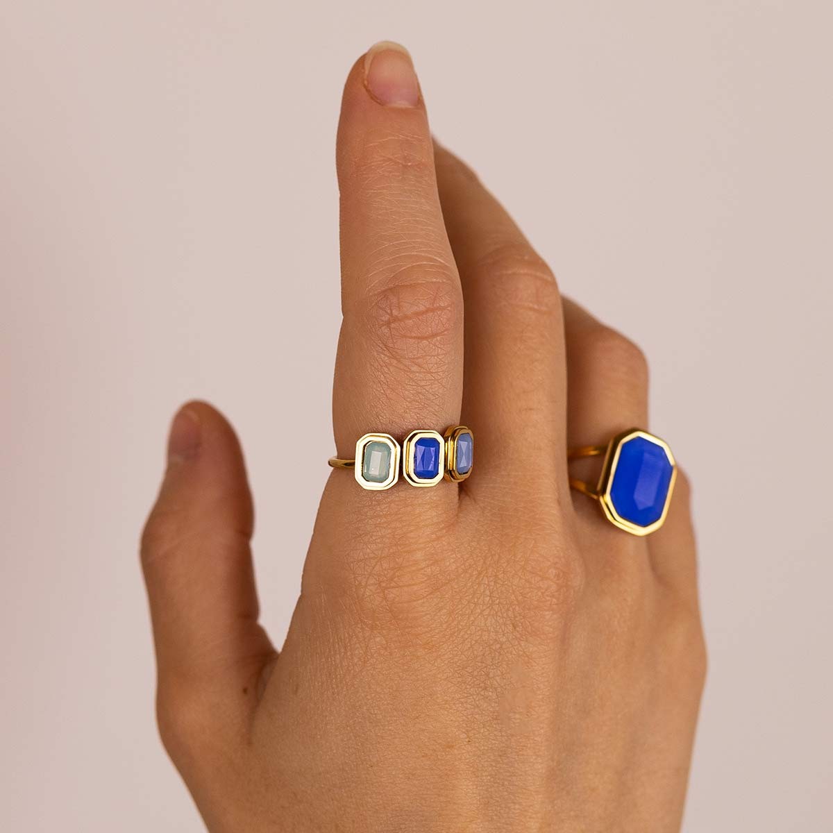 Anillo Helecho