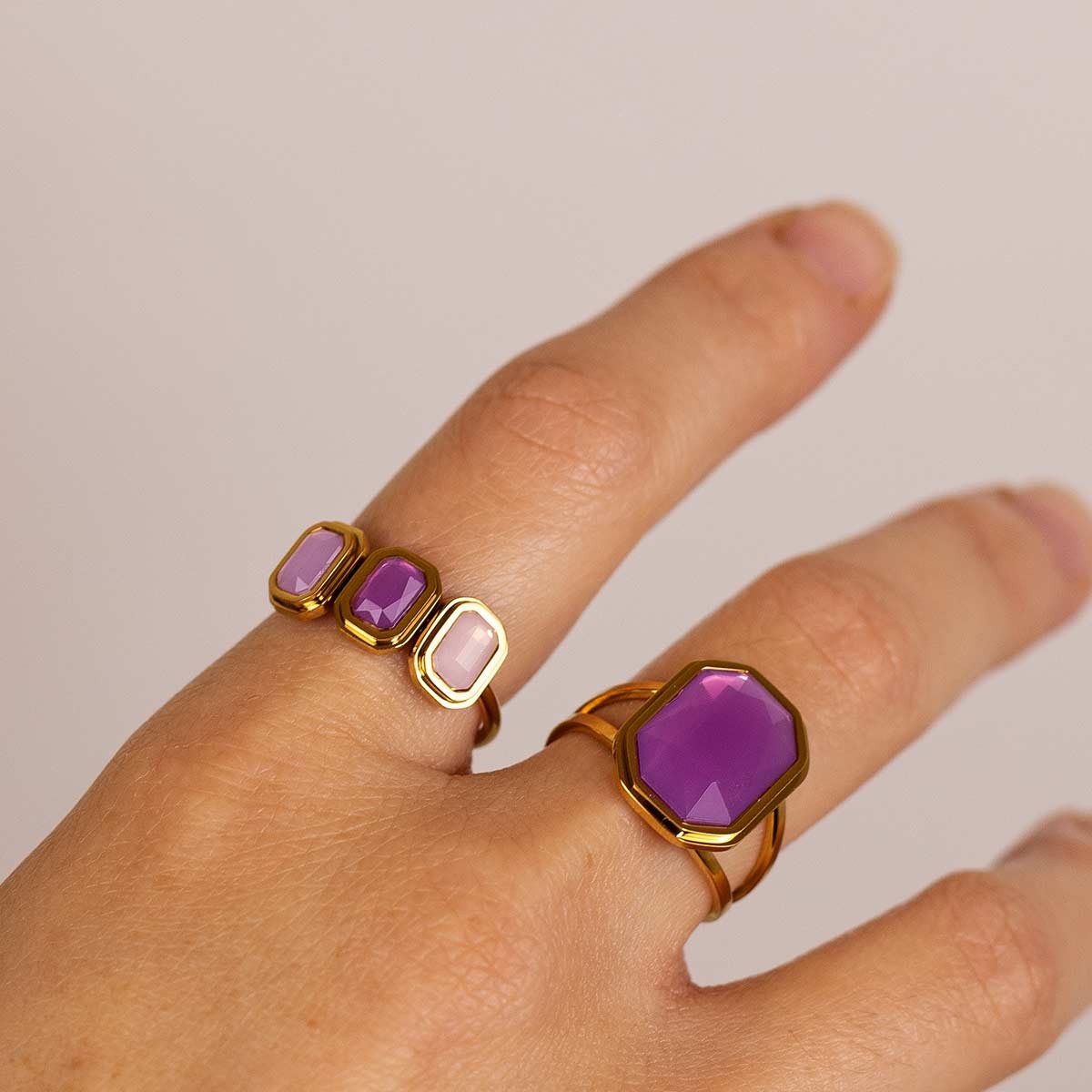 Anillo Helecho