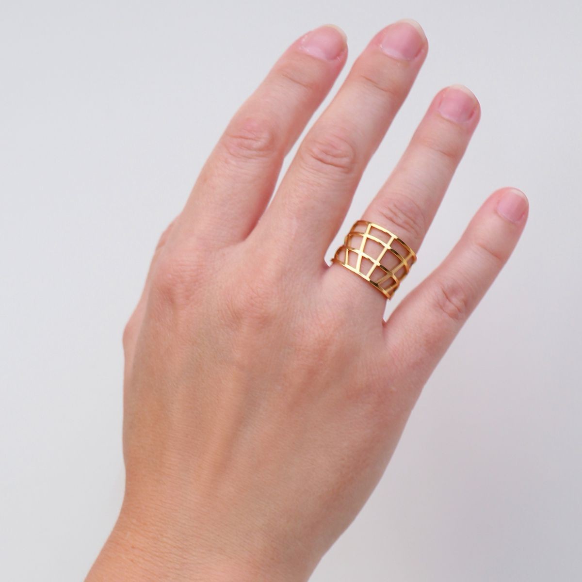 Anillo Riga