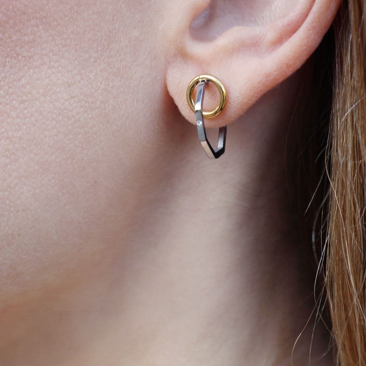 Aros bicolor CPE163 anartxy