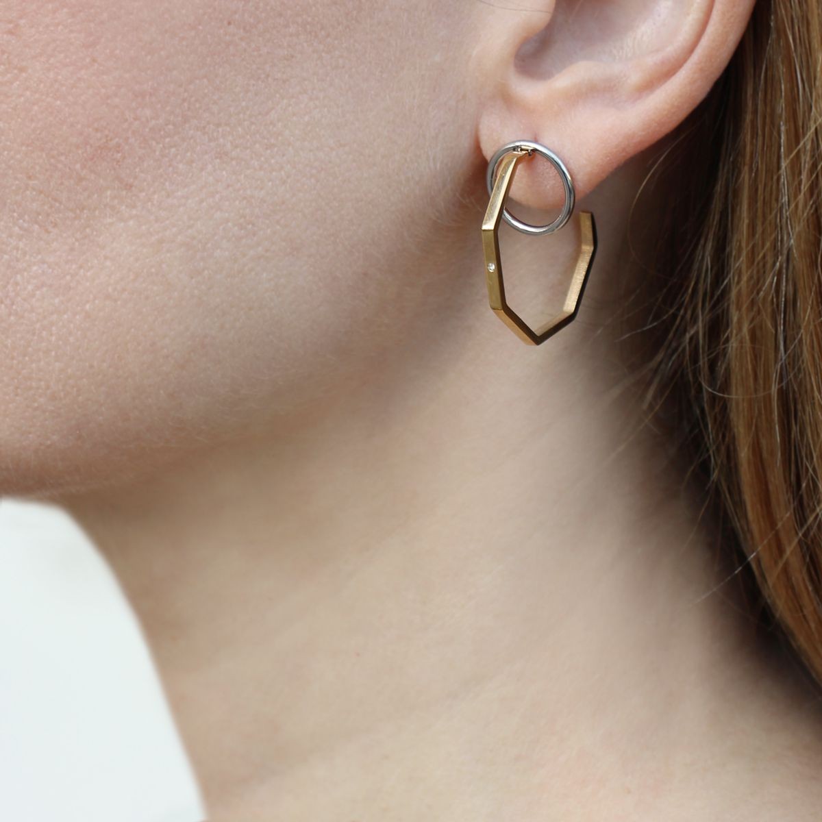 Aros bicolor CPE164 anartxy