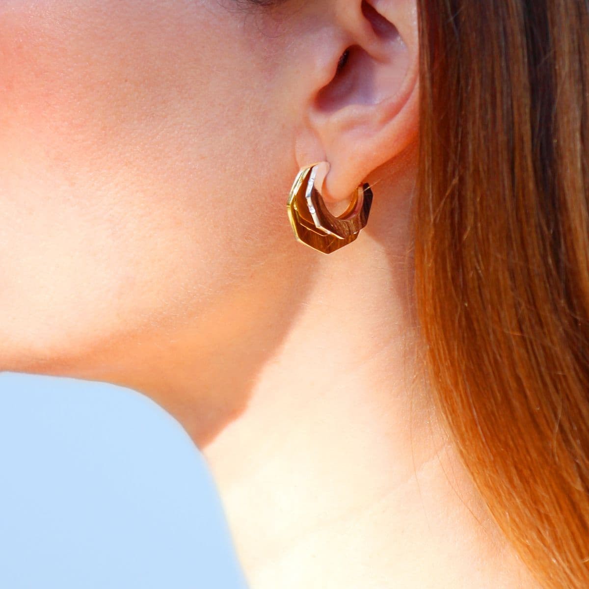 Aros bicolor CPE151 anartxy