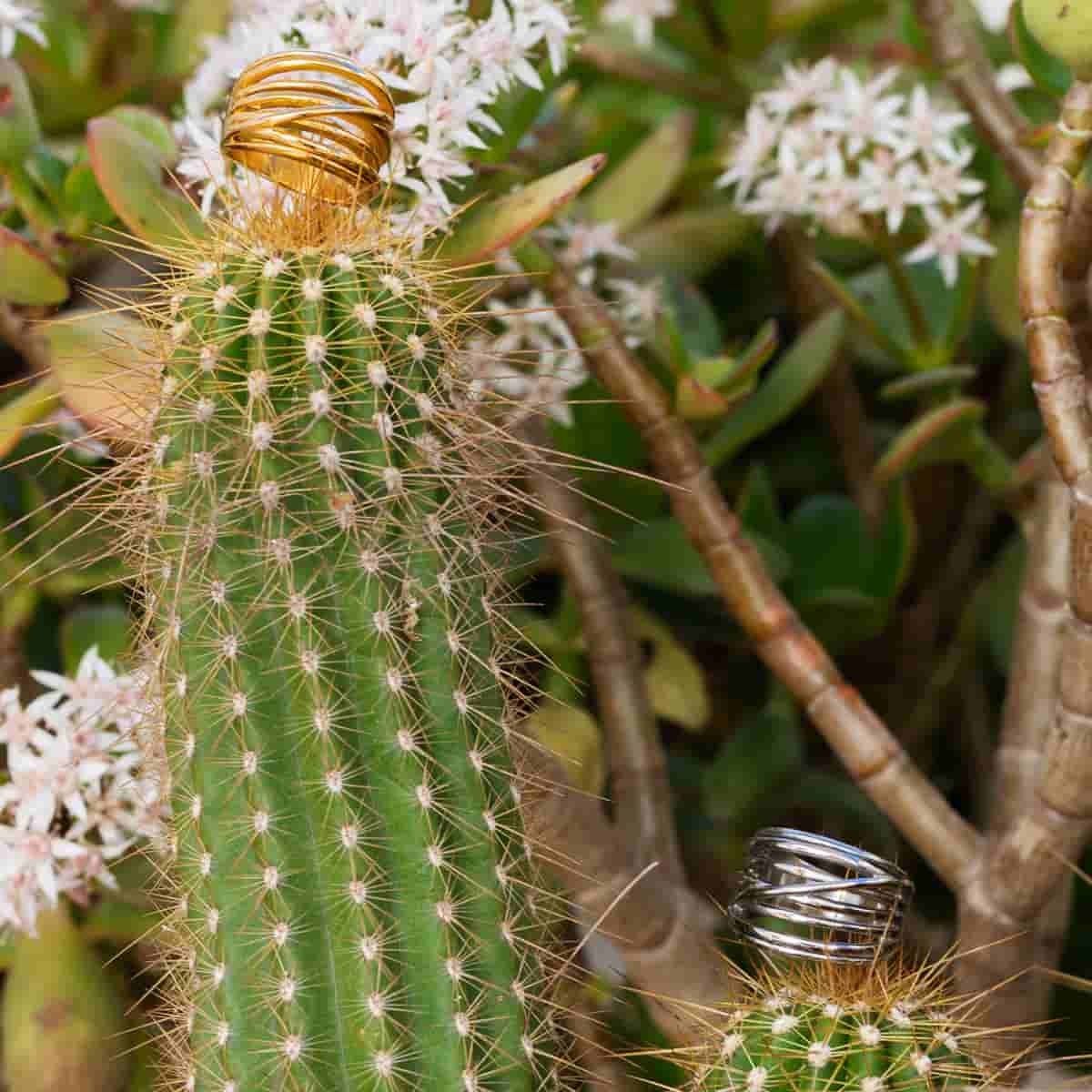 Anillo Idona Plateado Anartxy