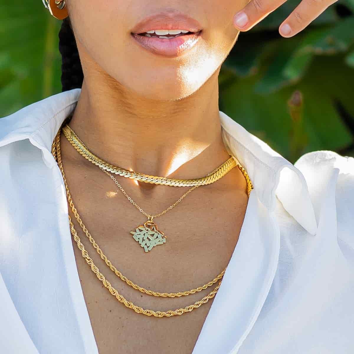 Collar snake BCO033 b