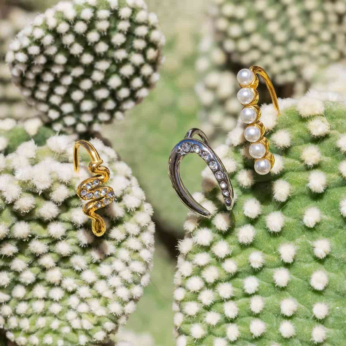 Pendientes herradura CPE208pl