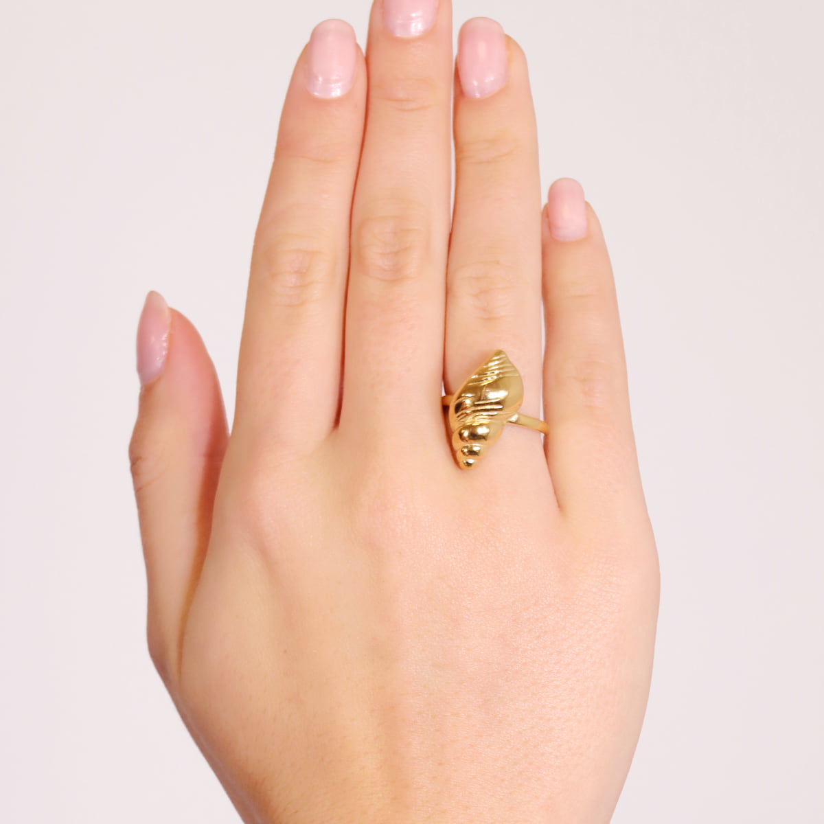 Shell Ring