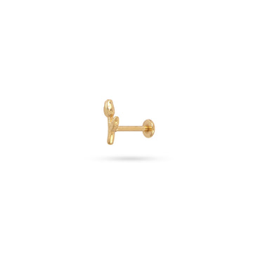 Piercing Tulip Dorado Anartxy