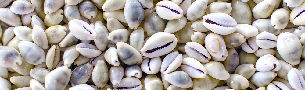 ¡Hola Caracolas!… Joyas con conchas