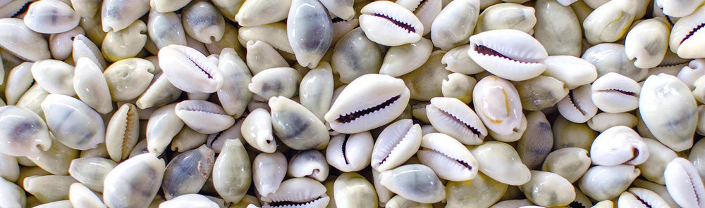 ¡Hola Caracolas!… Joyas con conchas
