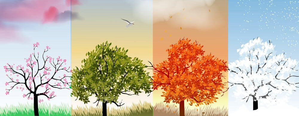 Primavera, verano, otoño o invierno: descubre que tipo de mujer eres