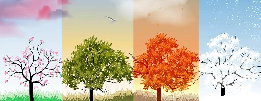 Primavera, verano, otoño o invierno: descubre que tipo de mujer eres