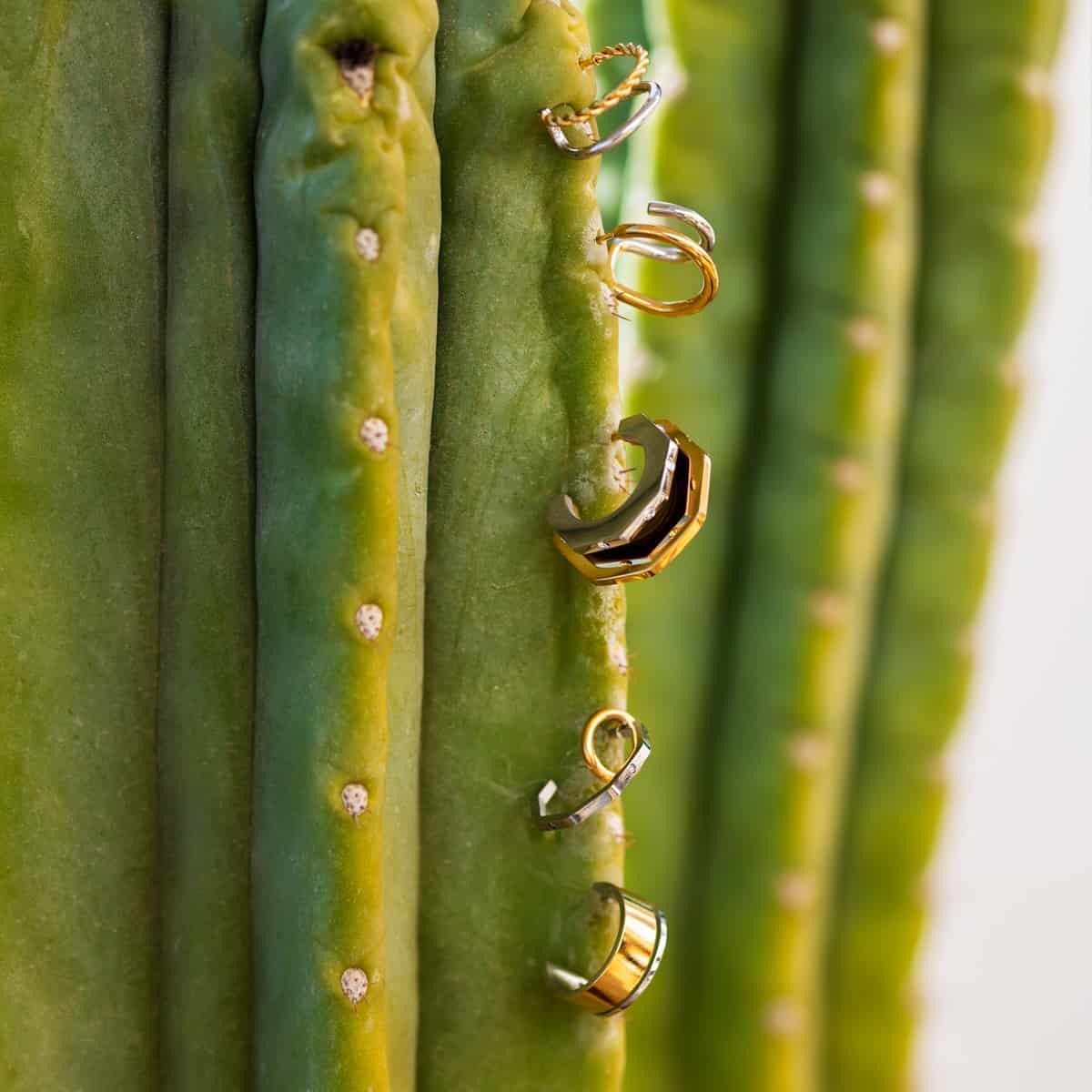 Aros Crésida Dorado Anartxy