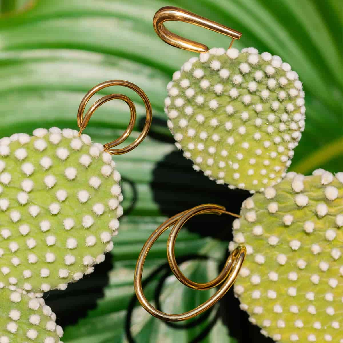 Aros Atria Anartxy
