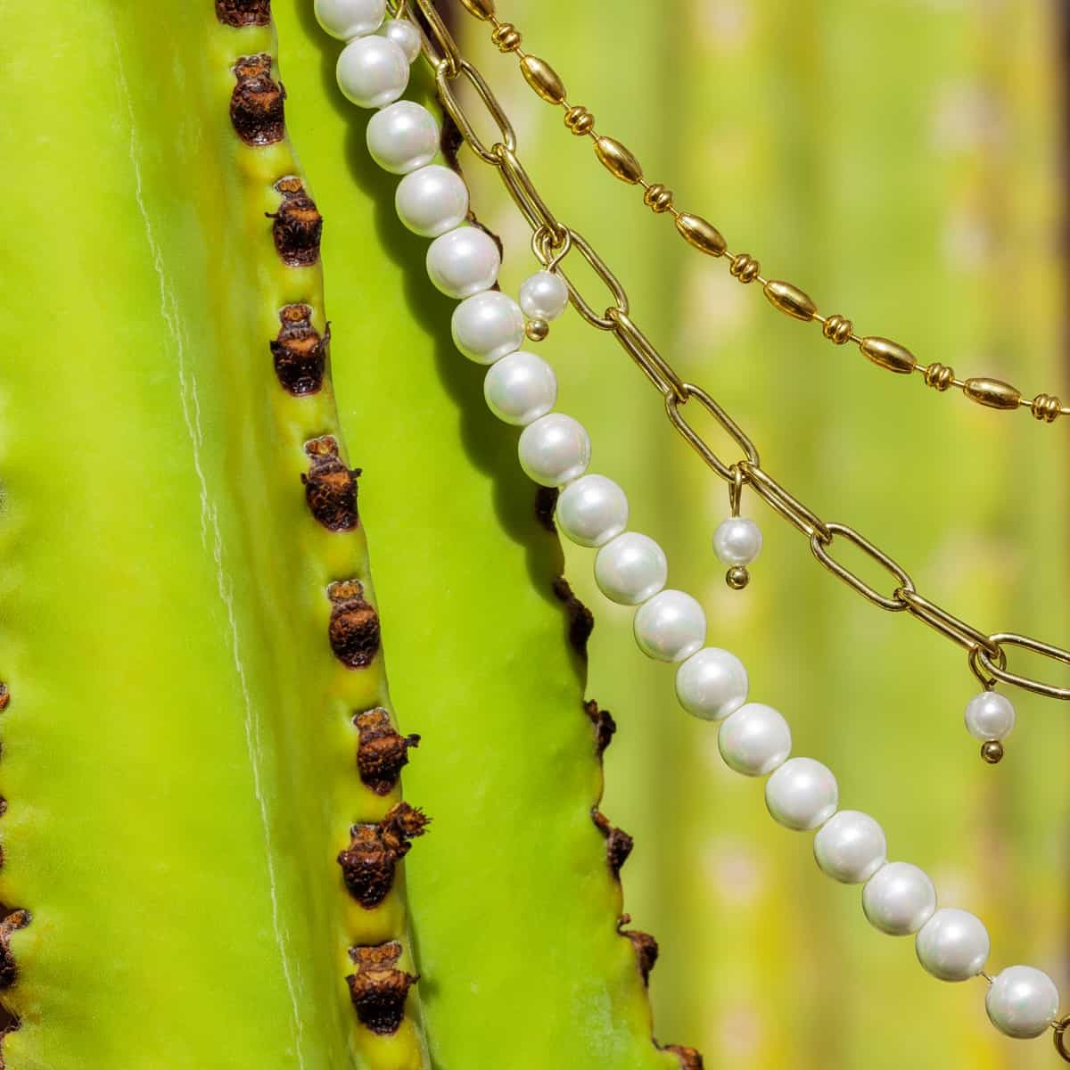 Collar perlas BCO481d