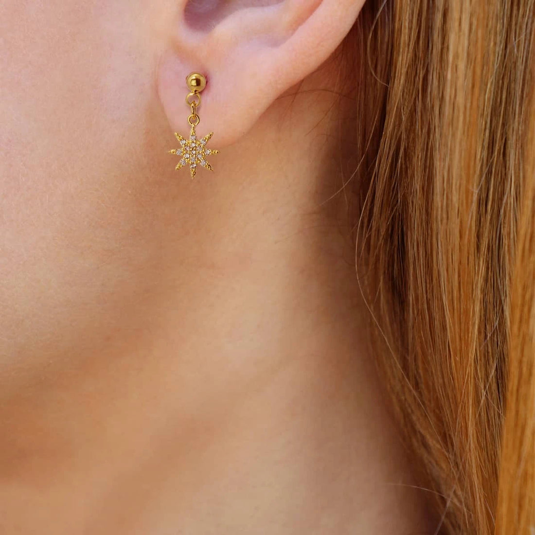 Piercing Arlet Anartxy