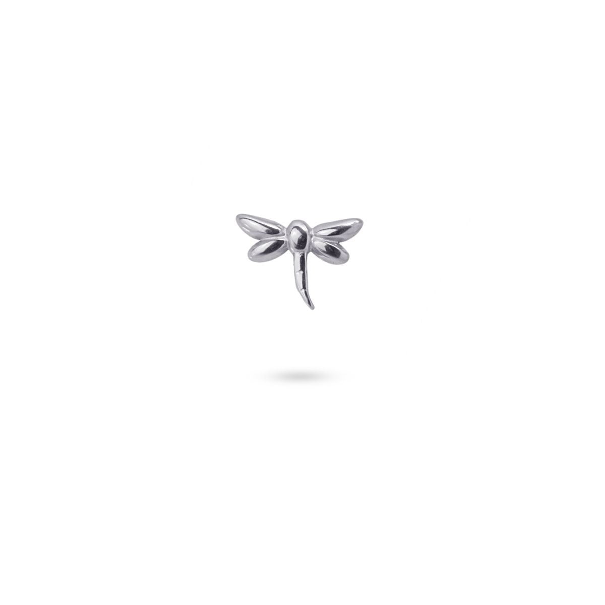 Piercing Amira Anartxy