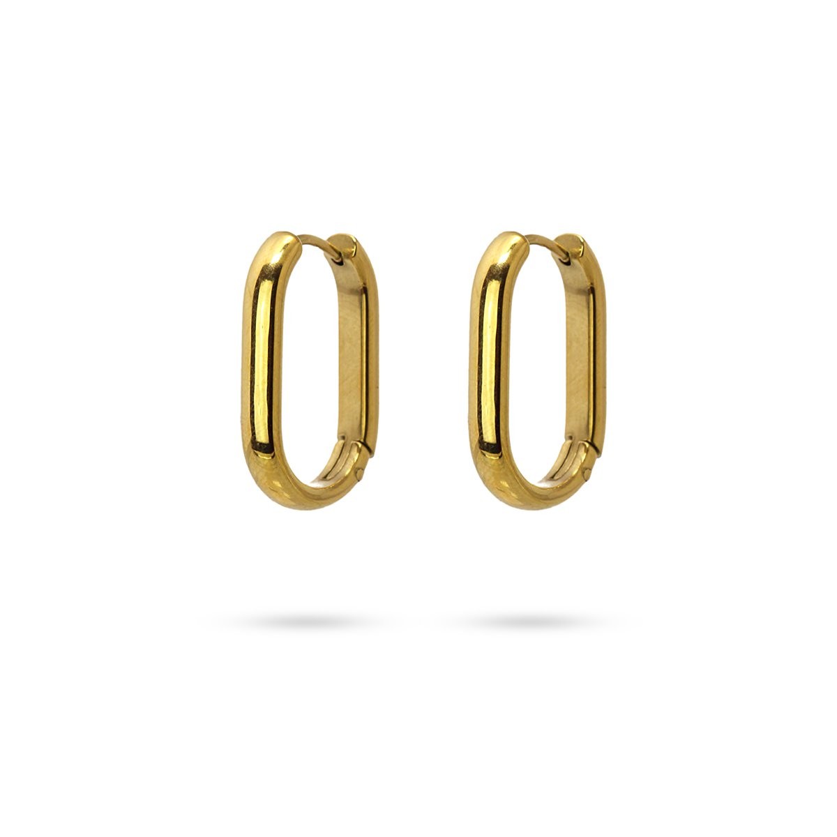 Aros Eider Dorado Anartxy