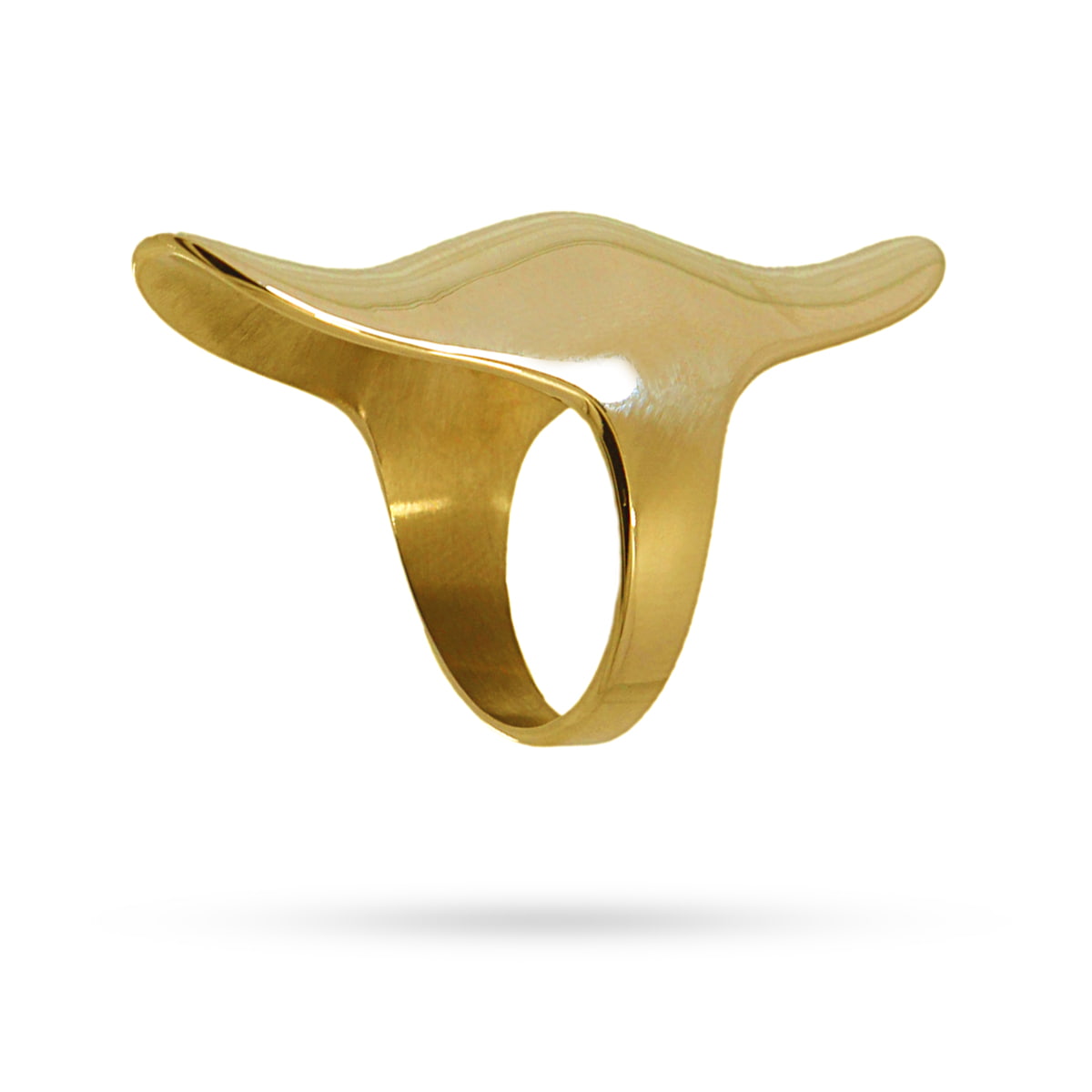 Anillo Gisela