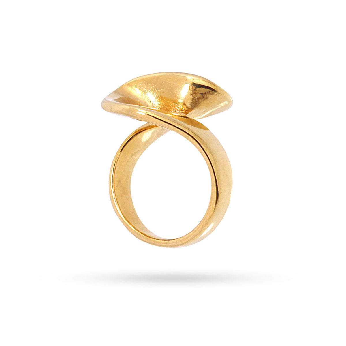 Anillo Waves Shore Wave