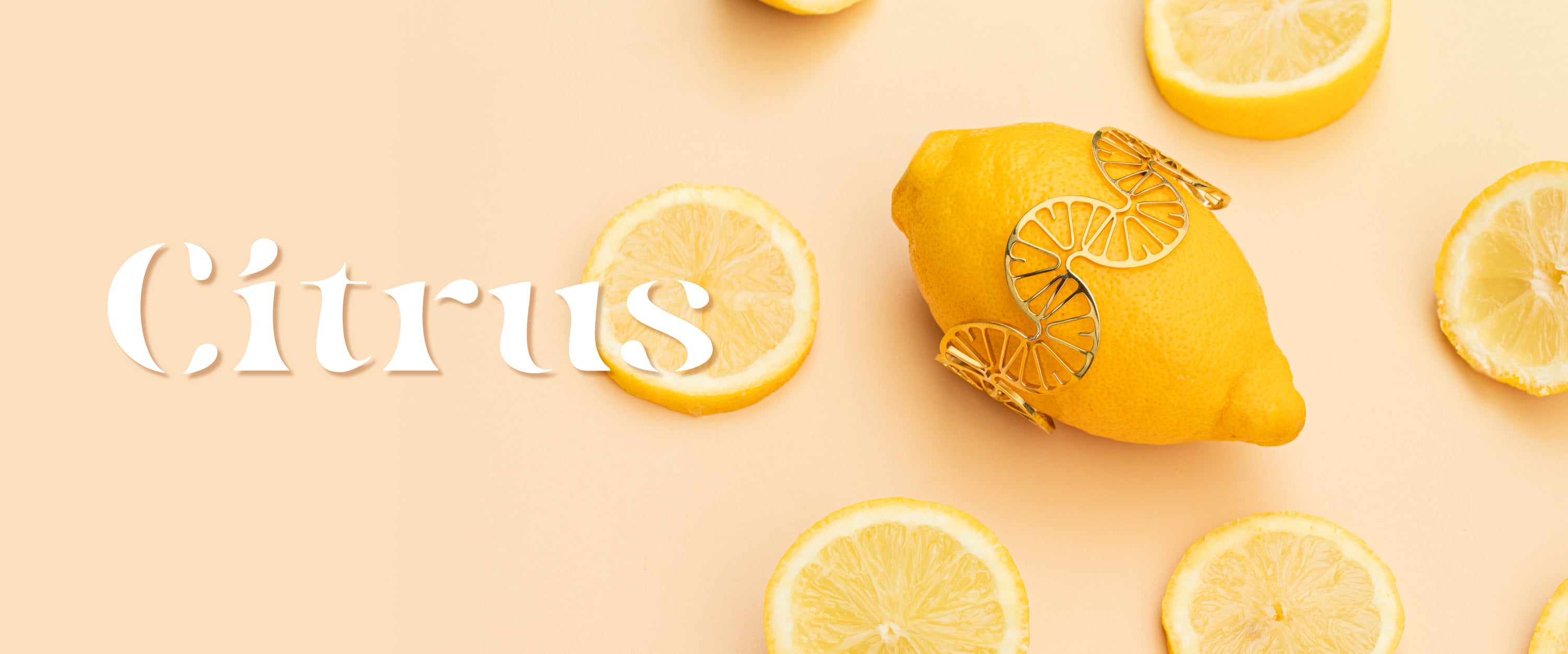 slider image slider_item_JJJECh