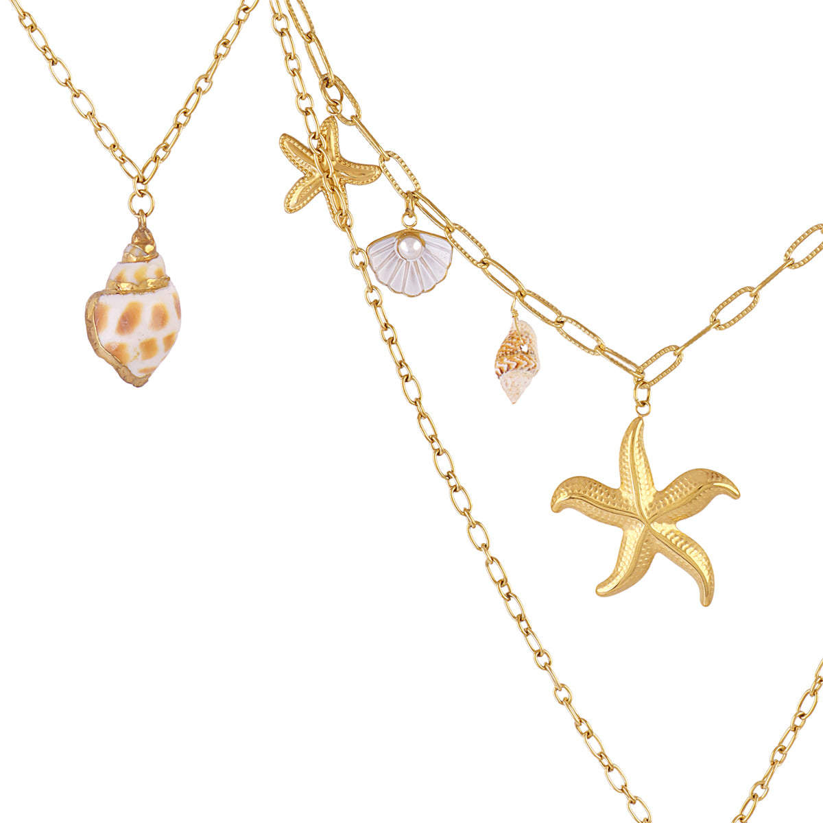 Collar Coast Oyster Dorado Anartxy