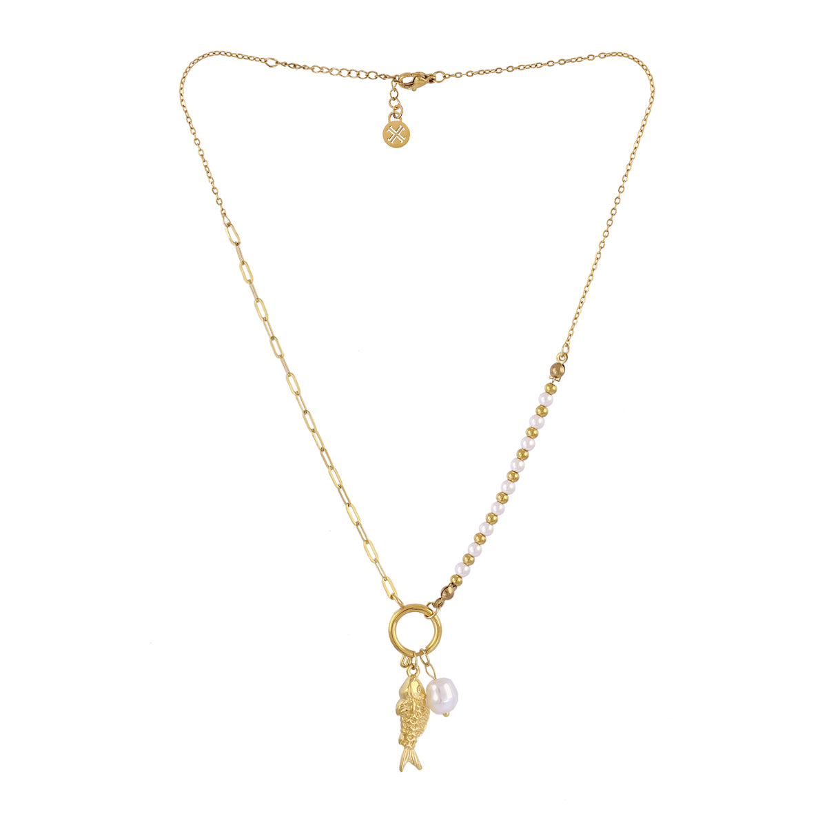 Collar Coast Guppy Dorado Anartxy