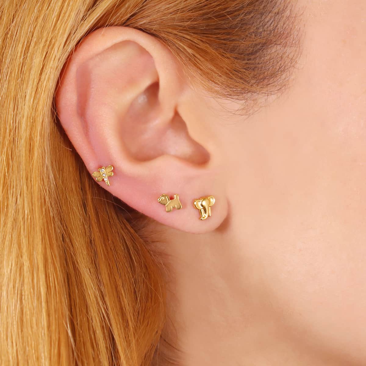 Piercing Dragonfly
