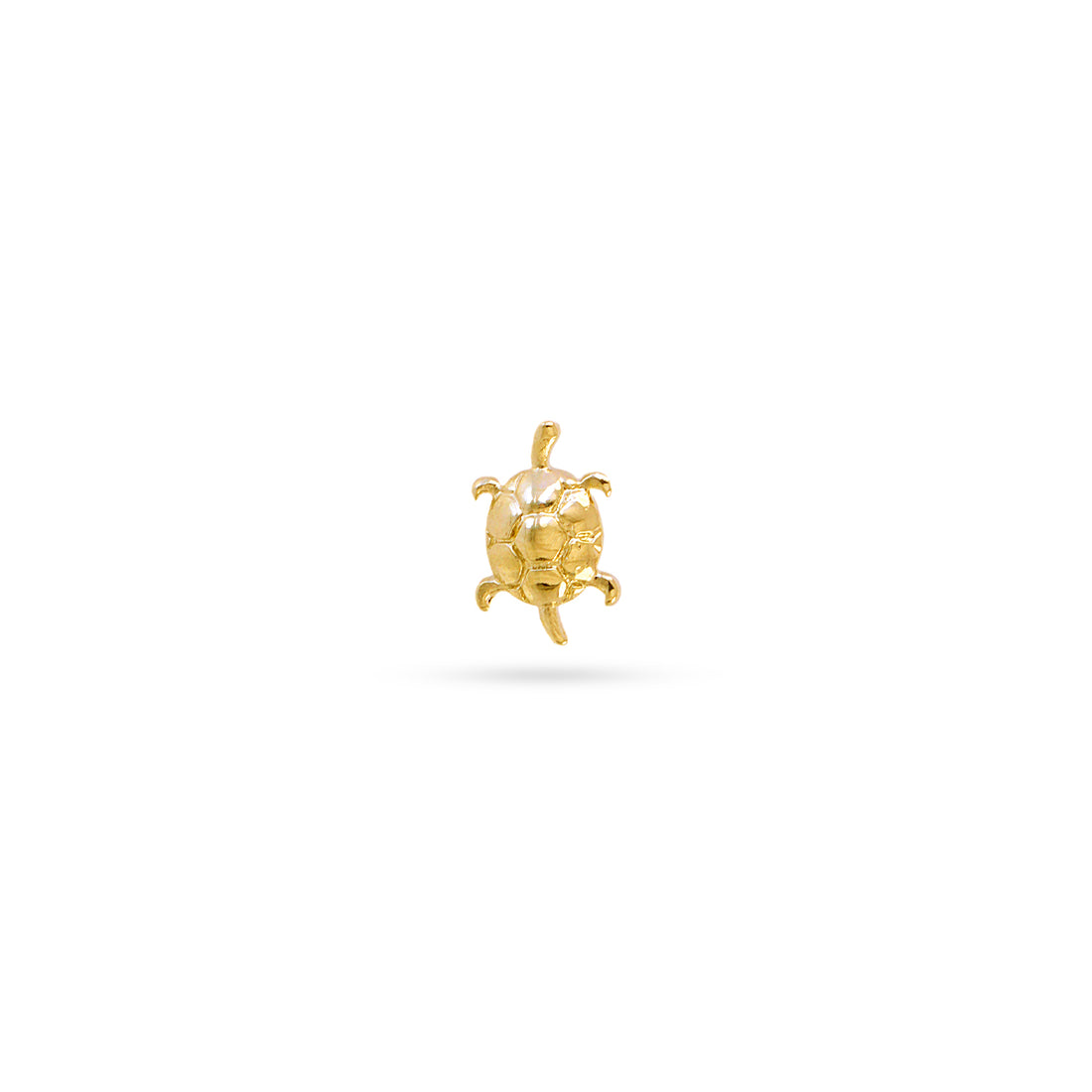 Piercing Tortoise Dorado Anartxy