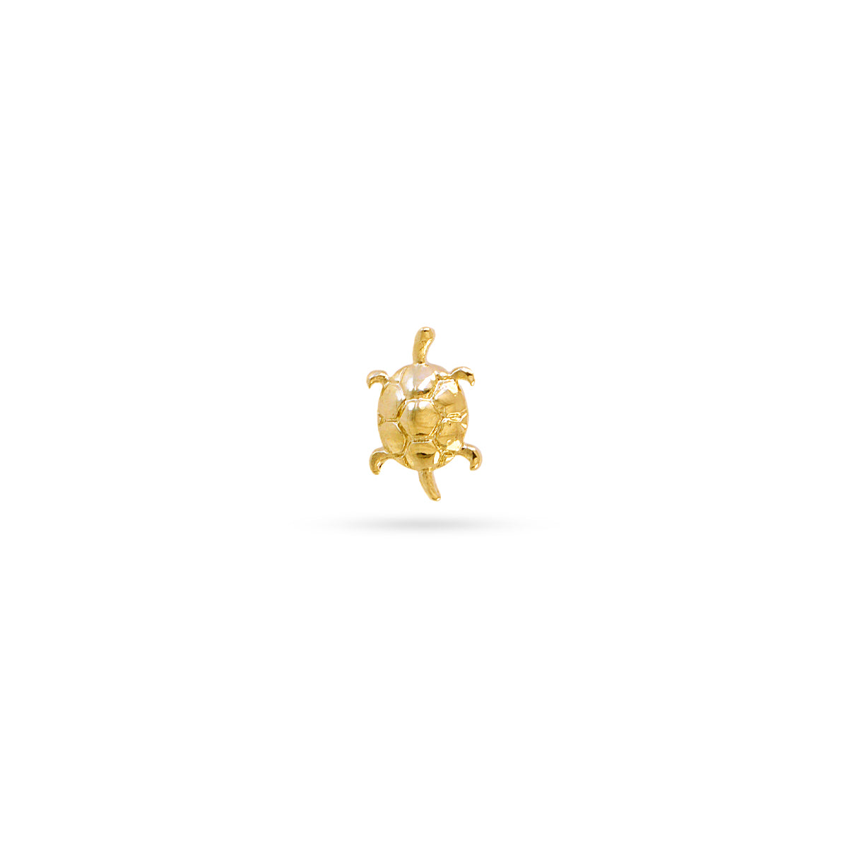 Piercing Tortoise Dorado Anartxy