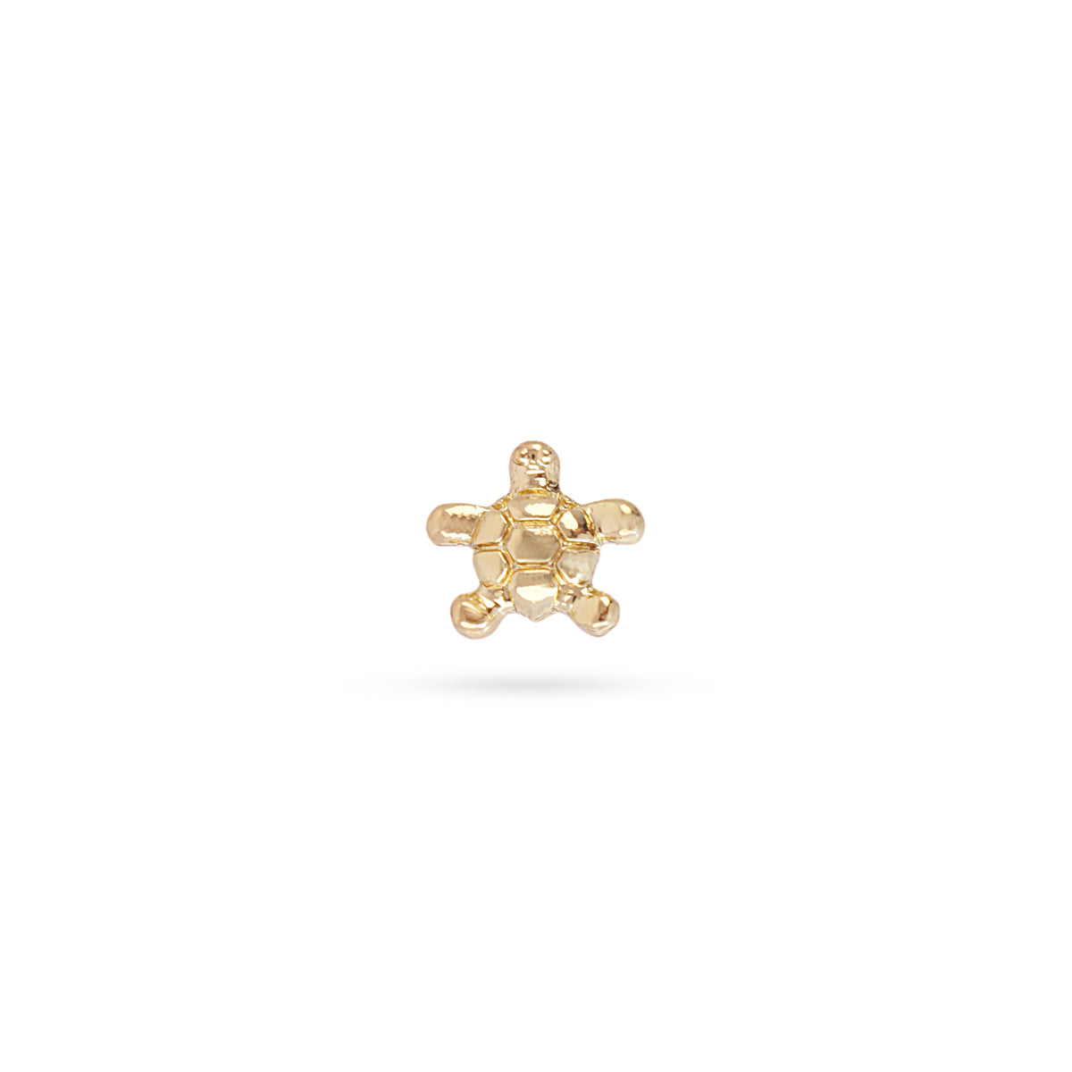 Piercing Turtle Dorado Anartxy
