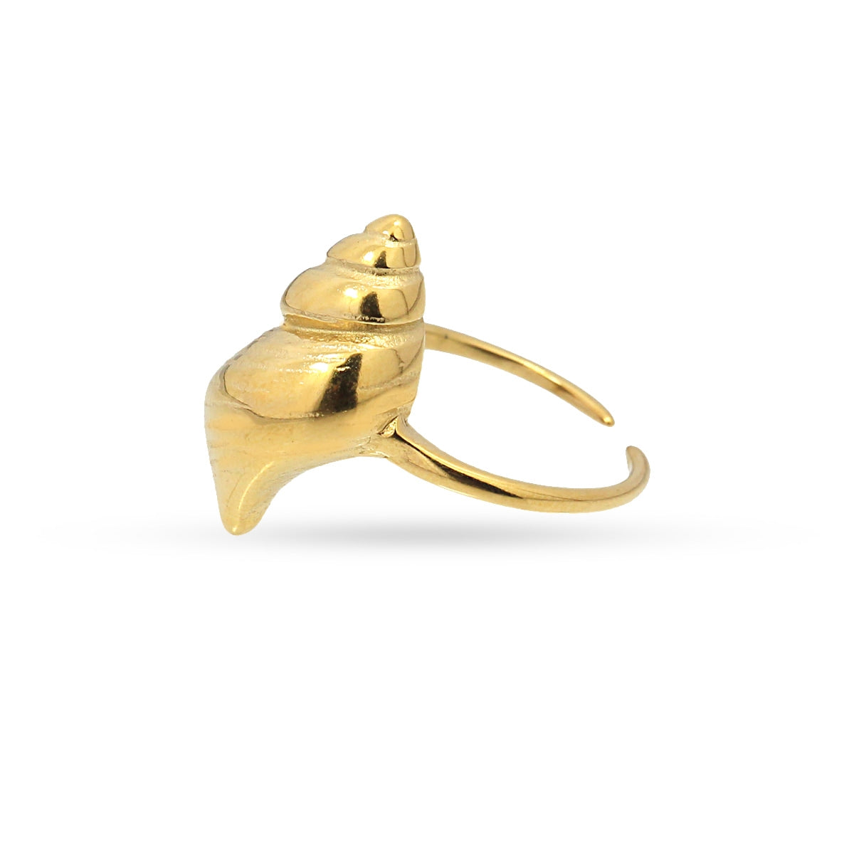 Shell Ring