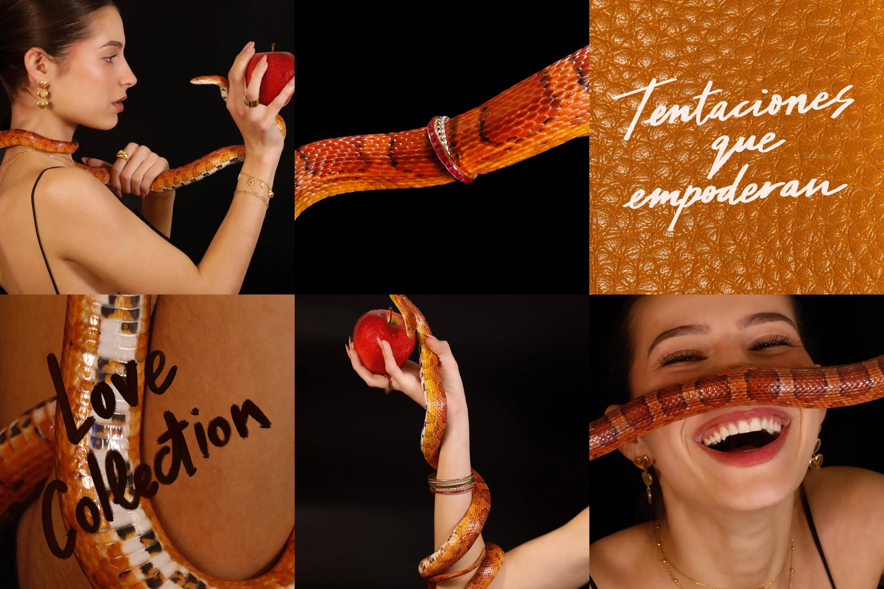 slider image slider_item_cD6qmp