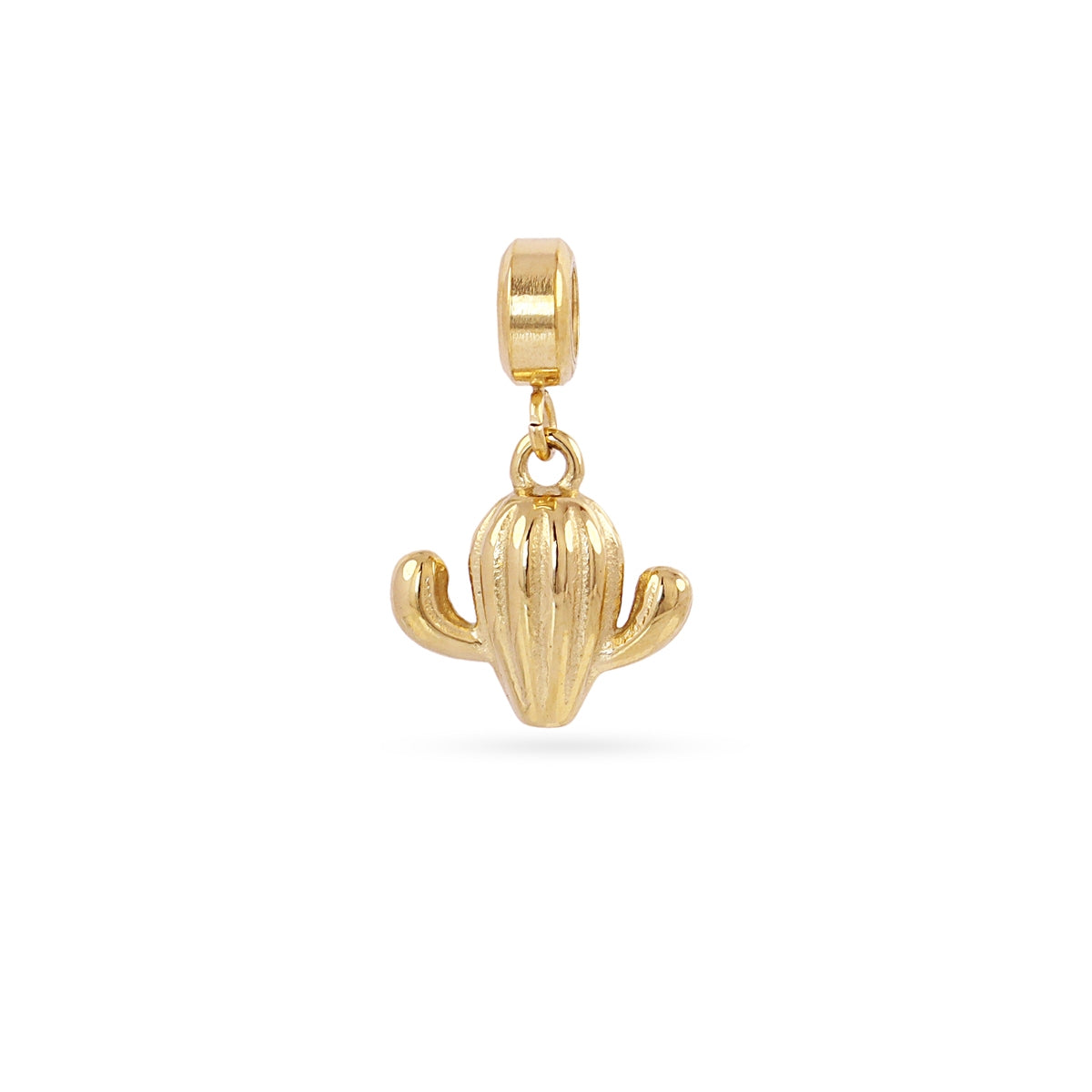 Charm cactus Dorado Anartxy