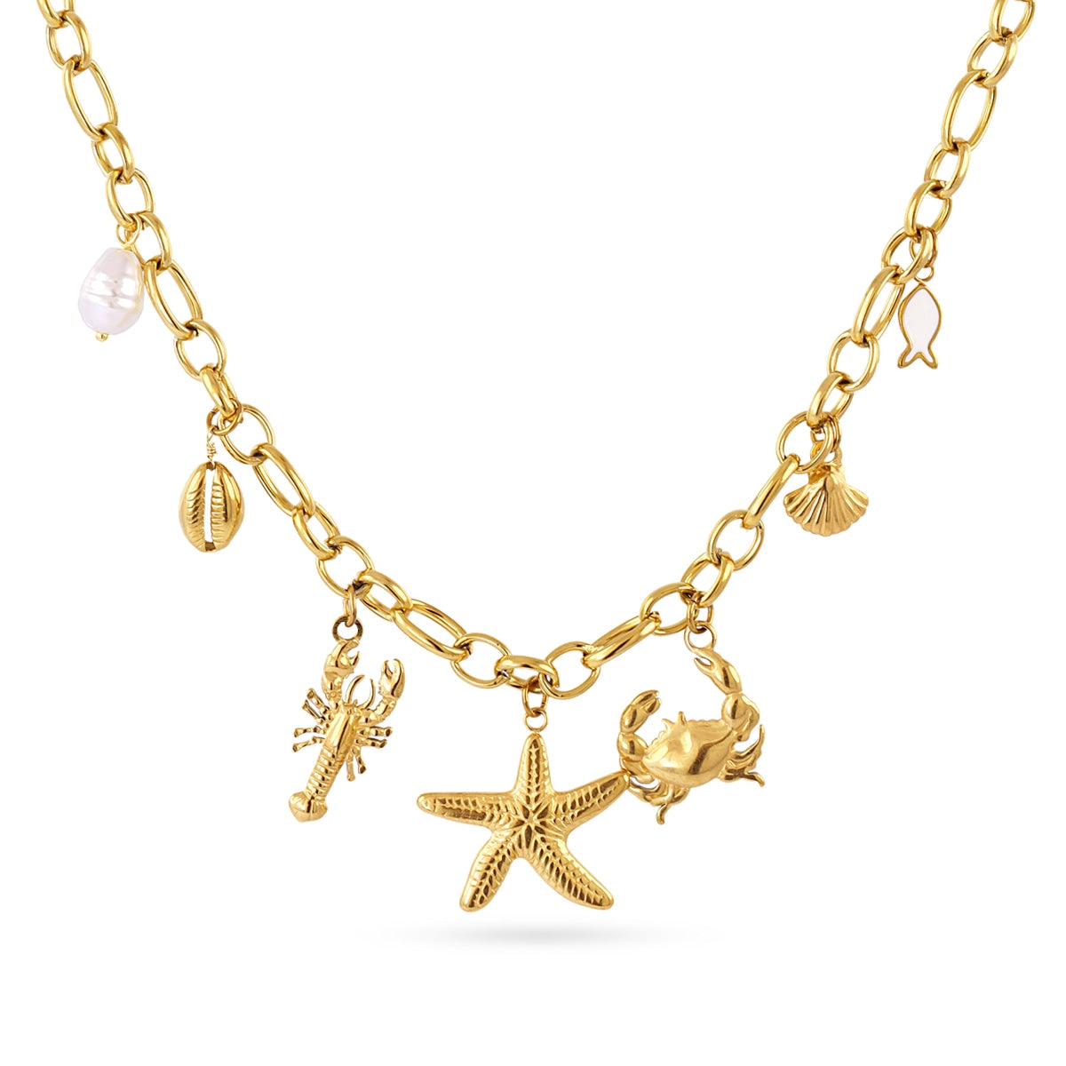 Collar Coast Baltic Dorado Anartxy
