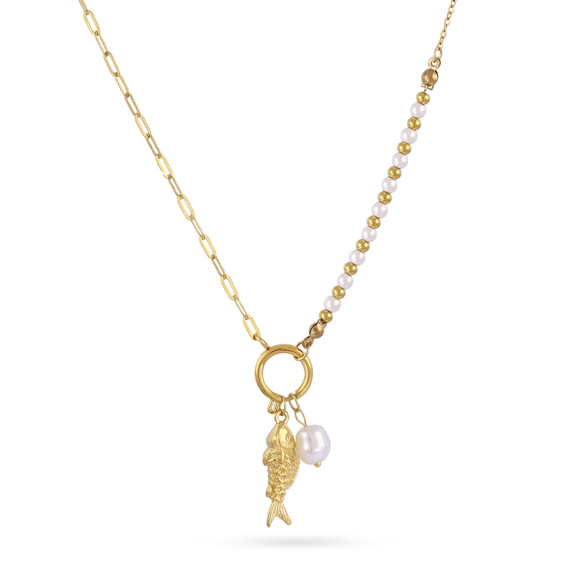 Collar Coast Guppy Dorado Anartxy