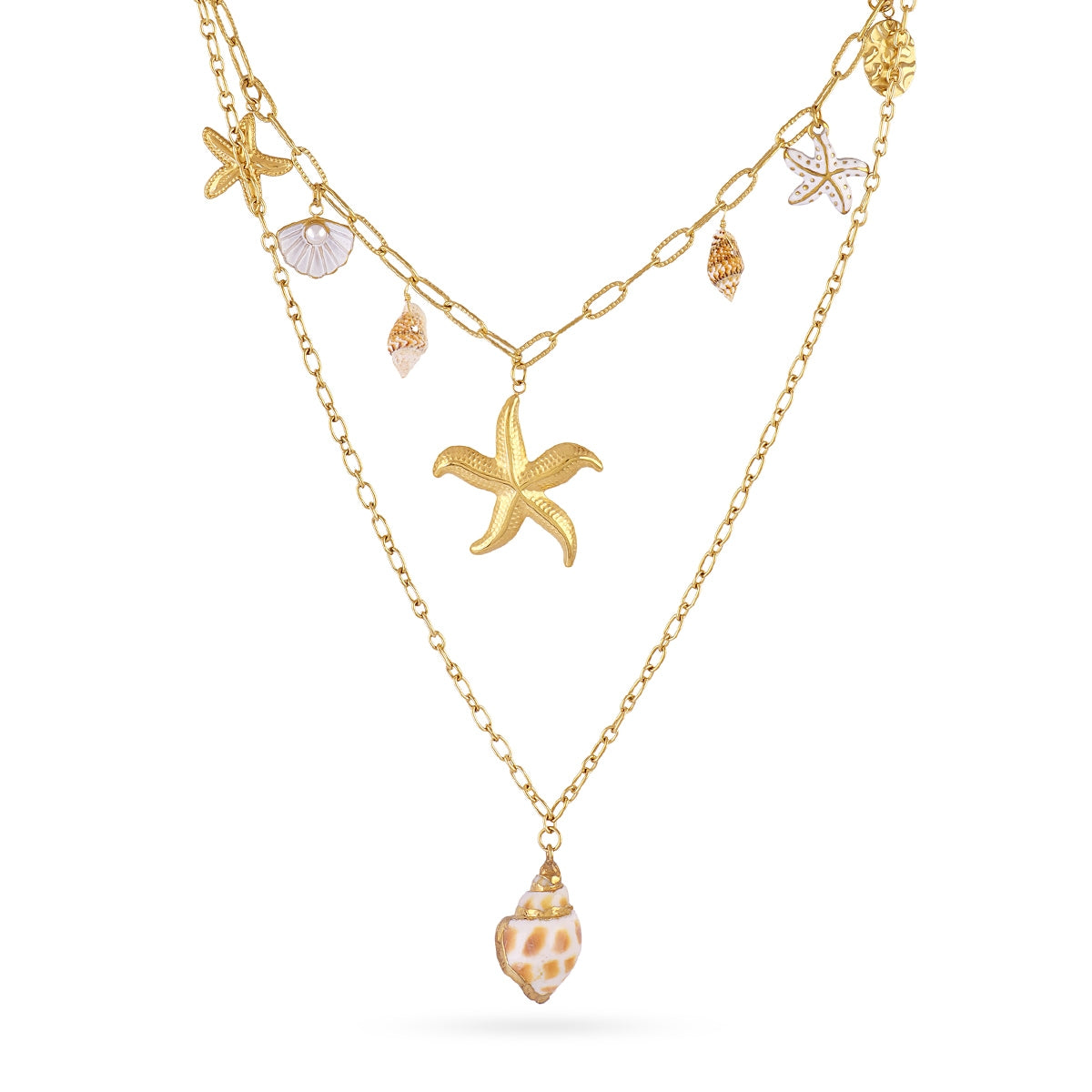 Collar Coast Oyster Dorado Anartxy