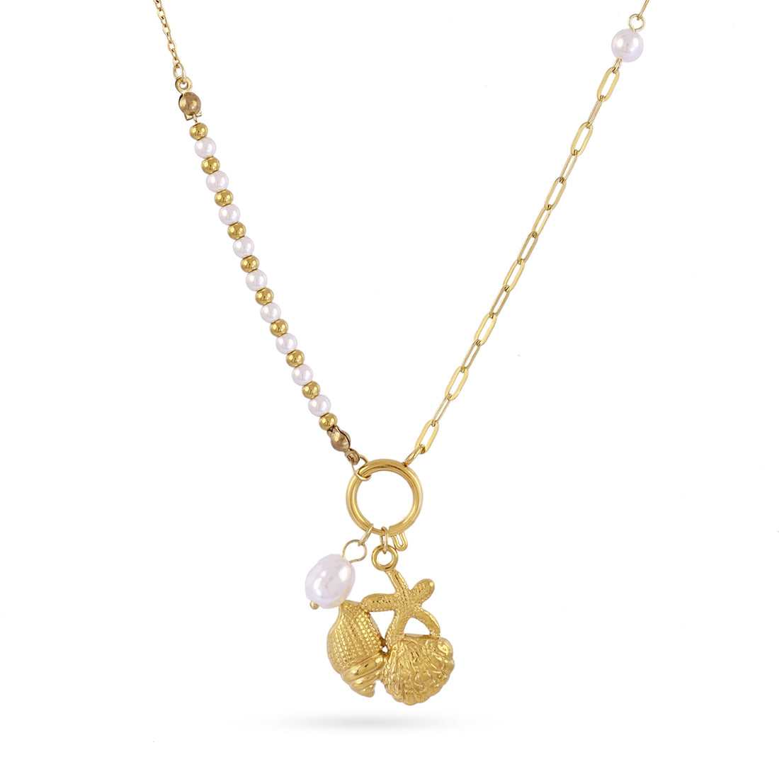 Collar Coast Snail Dorado Anartxy