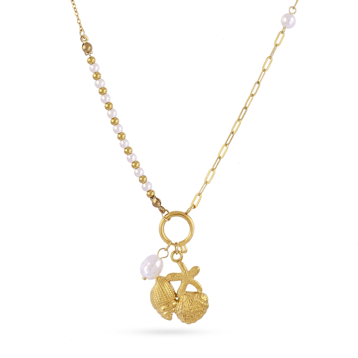 Collar Coast Snail Dorado Anartxy