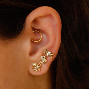 Piercing Octopus Anartxy