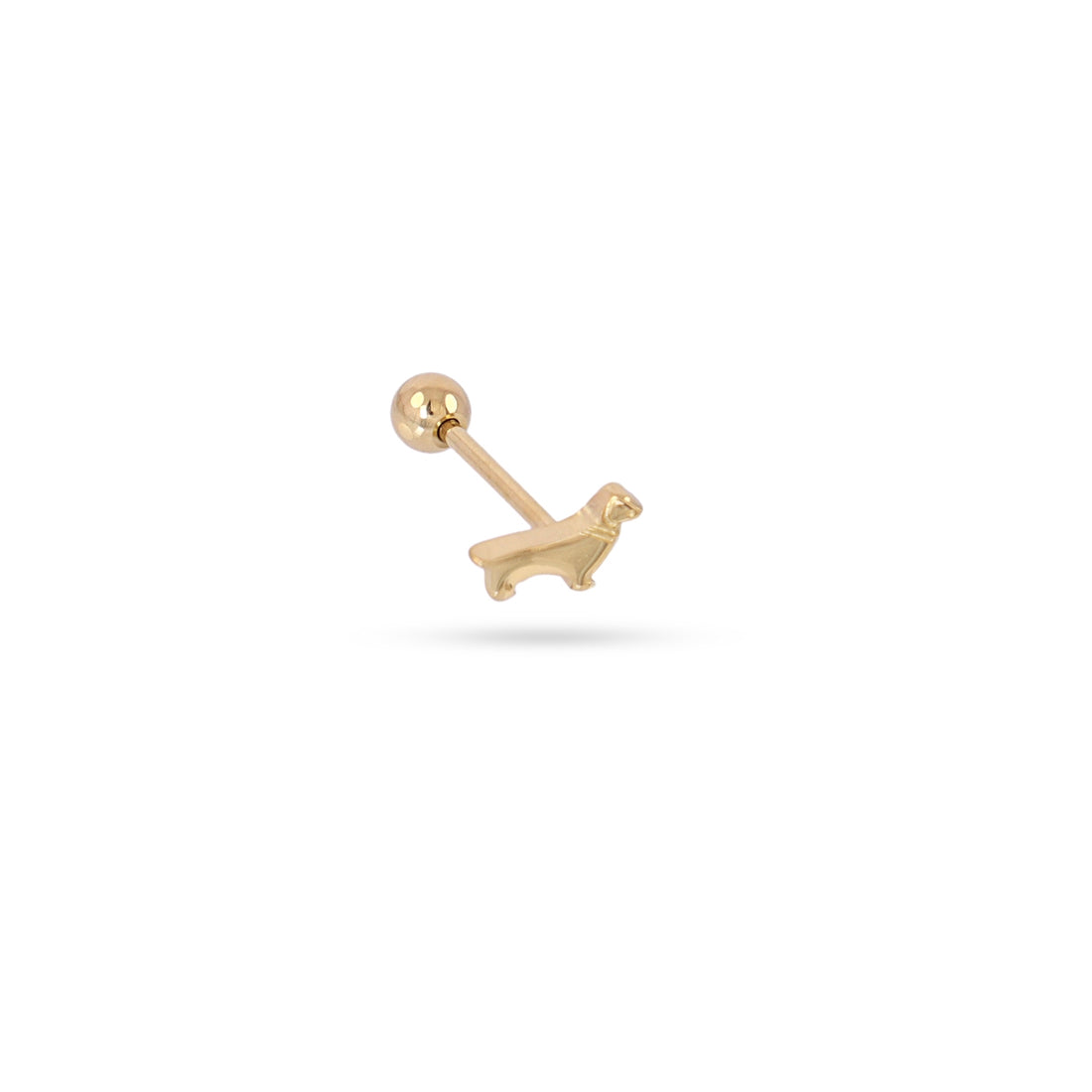 Piercing Teckel Dorado Anartxy