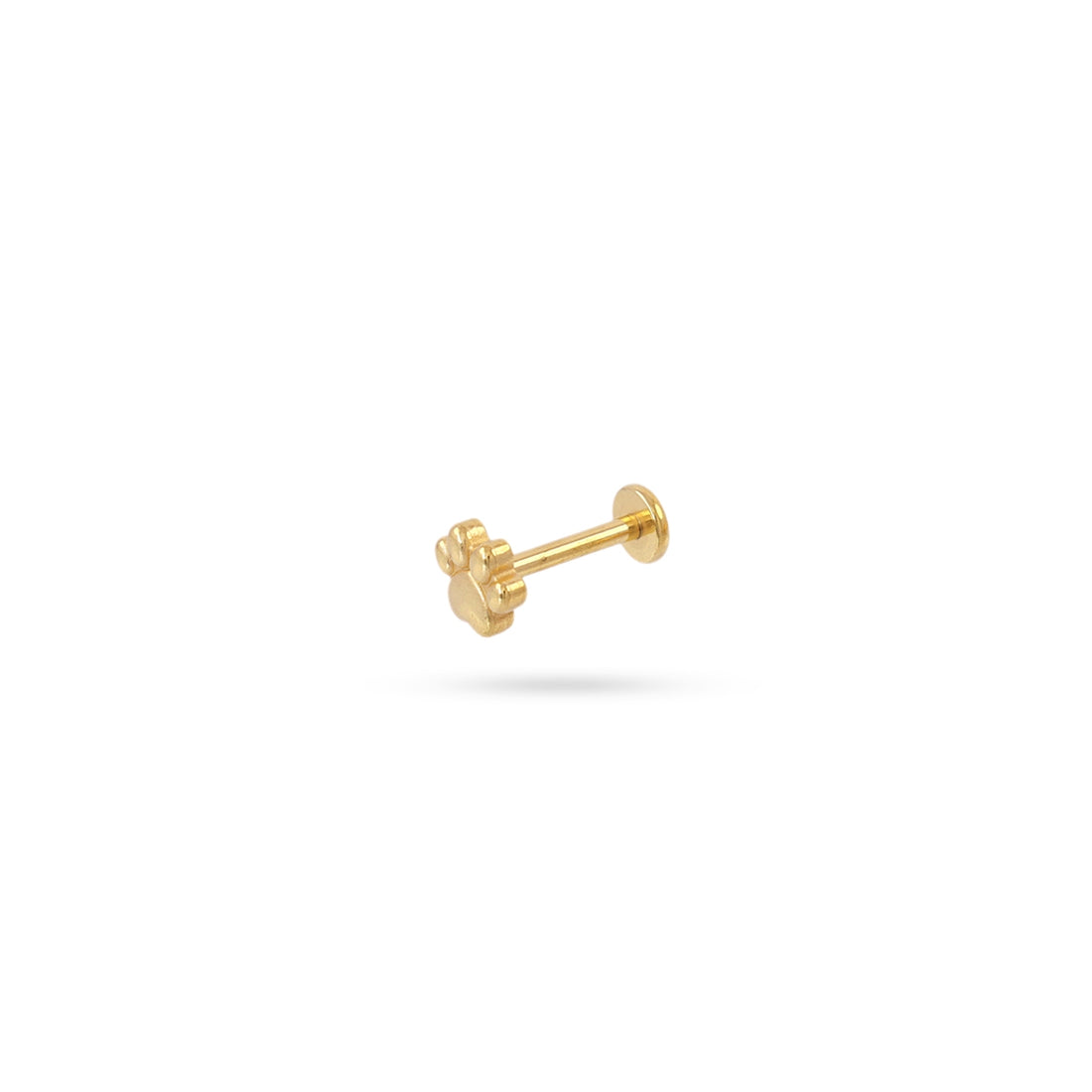Piercing Paw Dorado Anartxy