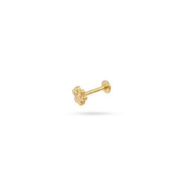 Piercing Paw Dorado Anartxy