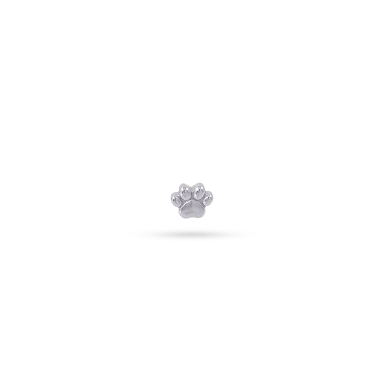 Piercing Paw Plateado Anartxy