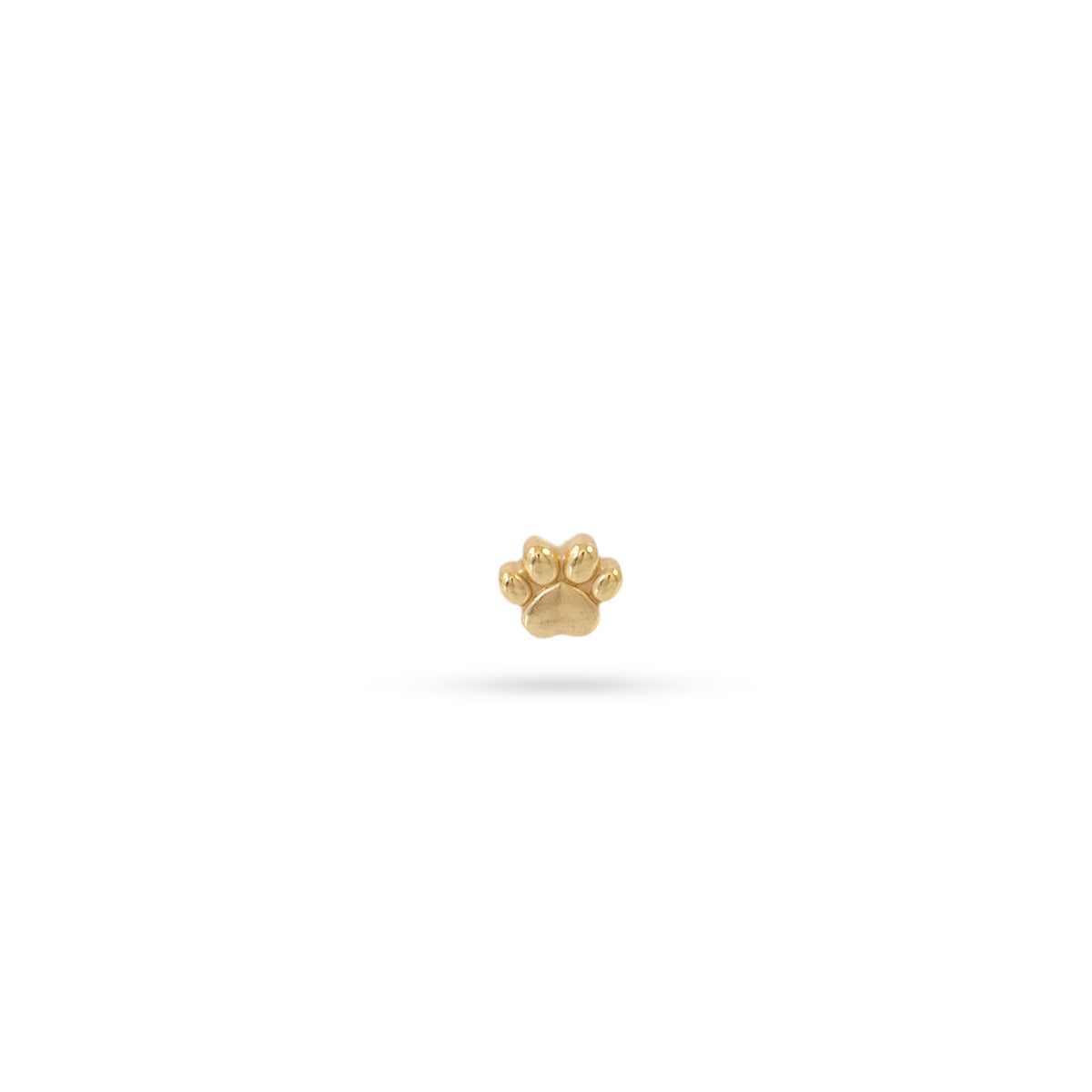 Piercing Paw Dorado Anartxy